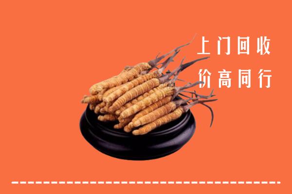 高价求购：龙潭区回收散虫草